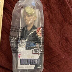 NIB Westley Shelf Talkers Princess Bride Talking‎ Doll Jakks Pacific 14+ Quotes